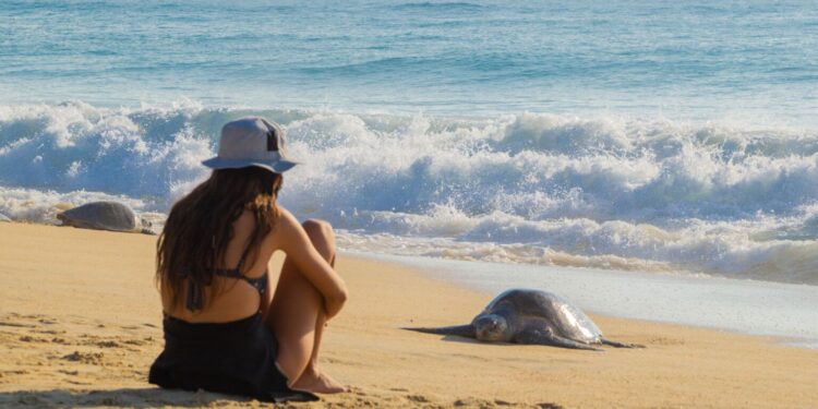 Bosques, pueblos mágicos, playas y gastronomía te esperan en Michoacán: Sectur