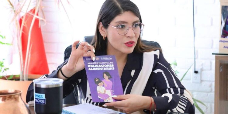 ¡Atención Villas del Pedregal! Hoy Seimujer te guía para registrar deudores alimentarios