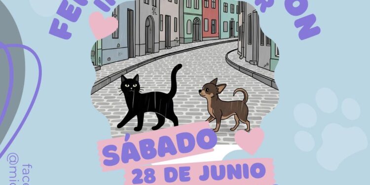 Feria de adopción canina y felina, este sábado en el IMCED