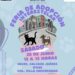 Feria de adopción canina y felina, este sábado en el IMCED