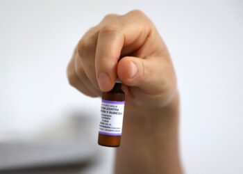 Vacuna gratuita contra sarampión para adultos de 20 a 39 años: SSM