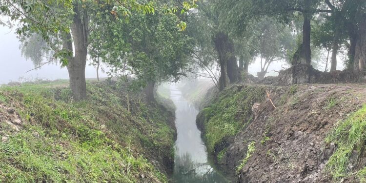 Rescate del canal de Tzentzénguaro revitaliza el lago de Pátzcuaro: Compesca