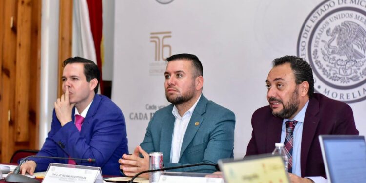 Proceso de designación de nueva o nuevo titular de CEDH sigue firme, remarca la presidenta Bugarini Torres