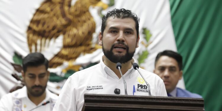 Propone Sandra Arreola cerrar el paso a la impunidad ambiental en Michoacán