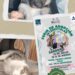 Feria de adopción de perritos y gatitos, sábado 12 de julio en el IMCED