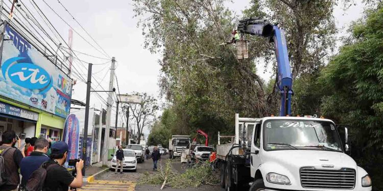 Brigadas de la Secretaría de Servicios Públicos intervienen el Río Chiquito