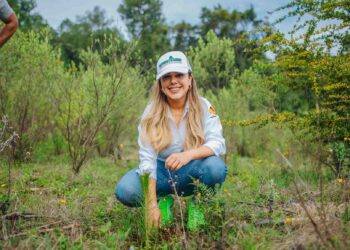 Impulsa Dayana Pérez el Medio Ambiente con la Plantación de 2,500 Pinos en Salvador Escalante
