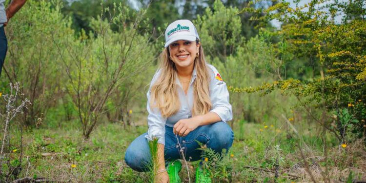 Impulsa Dayana Pérez el Medio Ambiente con la Plantación de 2,500 Pinos en Salvador Escalante