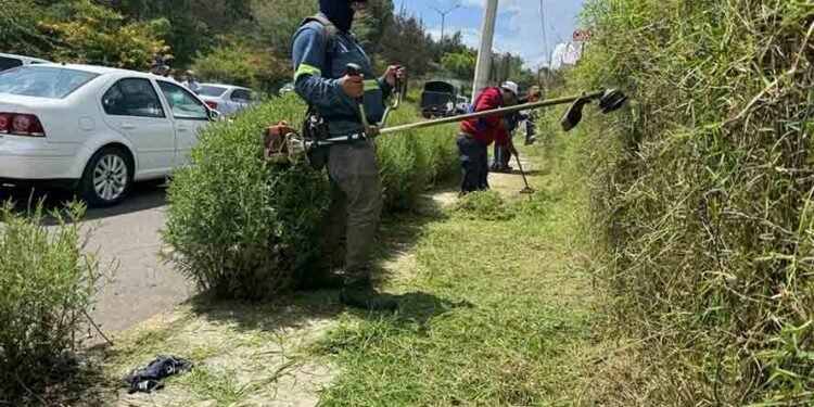 Embellecen accesos de Morelia con jornada de limpieza integral en la avenida Miguel Hidalgo
