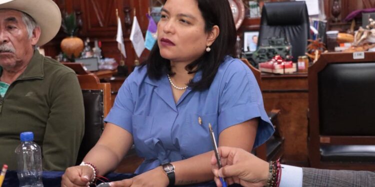 Abrirá Vanhe Caratachea ruta para renovar Ley de Protección a la Niñez en Michoacán