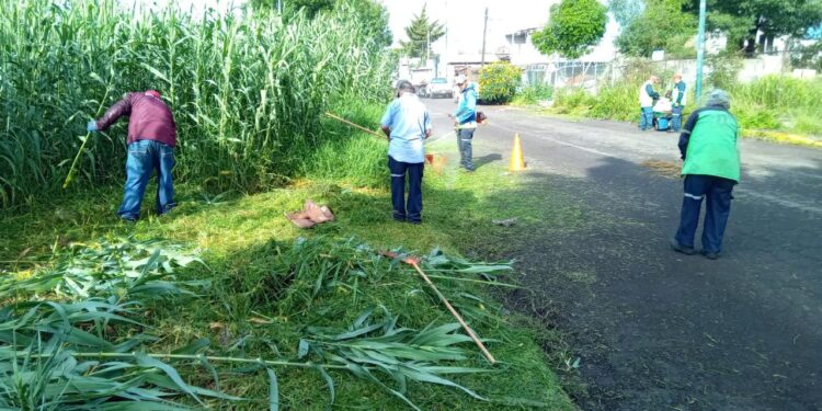 Gobierno de Morelia interviene el Río Grande para prevenir inundaciones y fauna nociva
