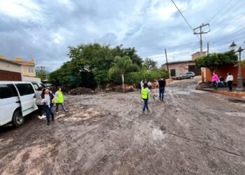 SSM implementa medidas sanitarias por inundación en Ecuandureo
