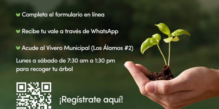 “Adopta un Árbol”, programa municipal que promueve la responsabilidad ambiental