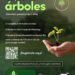 “Adopta un Árbol”, programa municipal que promueve la responsabilidad ambiental
