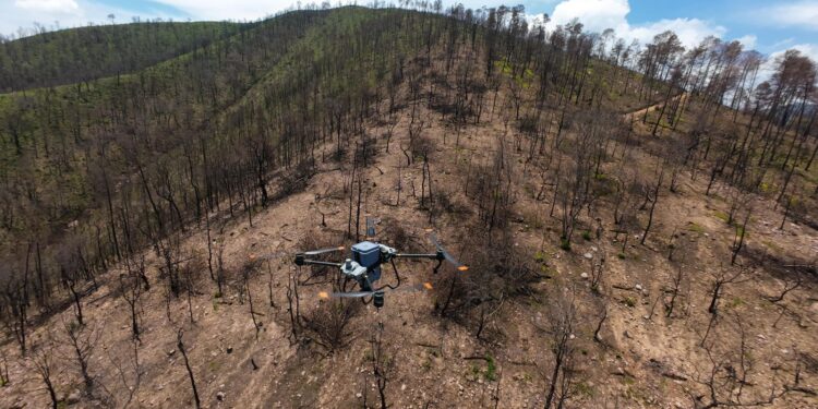 Gobierno de Michoacán combate deforestación con dron, siembra 24 mil semillas en Hidalgo