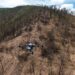 Gobierno de Michoacán combate deforestación con dron, siembra 24 mil semillas en Hidalgo