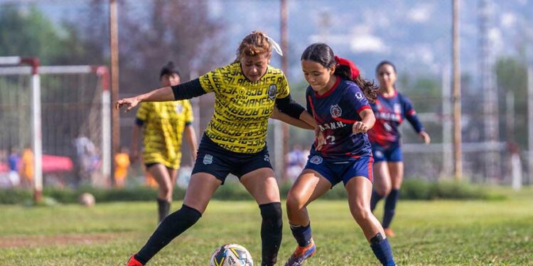 UMSNH lidera el Torneo de Verano de la Liga Municipal