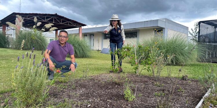 UMSNH pone en marcha proyecto de “Jardín para polinizadores”, busca abonar en el cuidado del medio ambiente