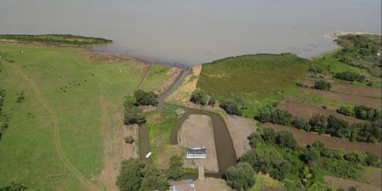 Manglares de Michoacán, más de 4 mil hectáreas de tesoro natural bajo protección: Secma