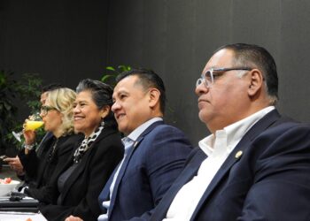 Por encuesta, no por decisión legislativa, la elección de la o el candidato al gobierno del estado en Michoacán: Luisa María Alcalde