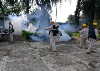 SSM se suma a jornada nacional contra el dengue