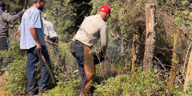 Gobierno de Morelia fortalece la conexión rural con acciones integrales en Loma Caliente