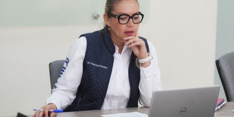 UMSNH se suma a la estrategia nacional por la paz; Yarabí Ávila participa en reunión de trabajo SEP-ANUIES