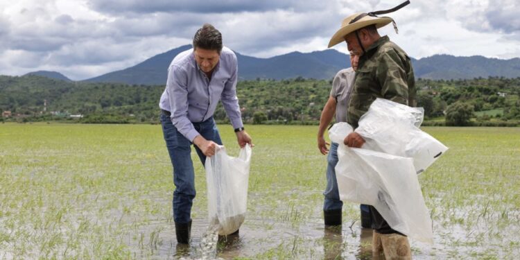 Yankel Benítez da seguimiento a obra de drenaje en la colonia Rubén Jaramillo