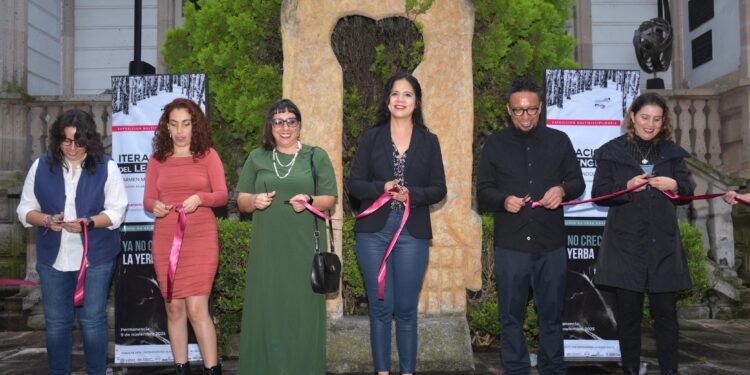 MACAZ abre sus puertas a dos miradas del arte contemporáneo