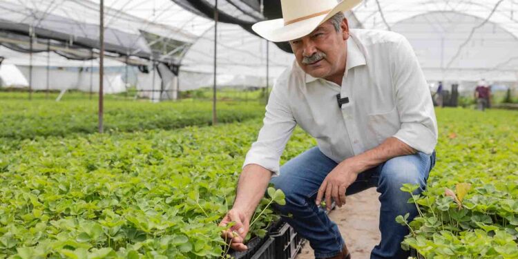 Raúl Morón, el aliado para potenciar el campo michoacano
