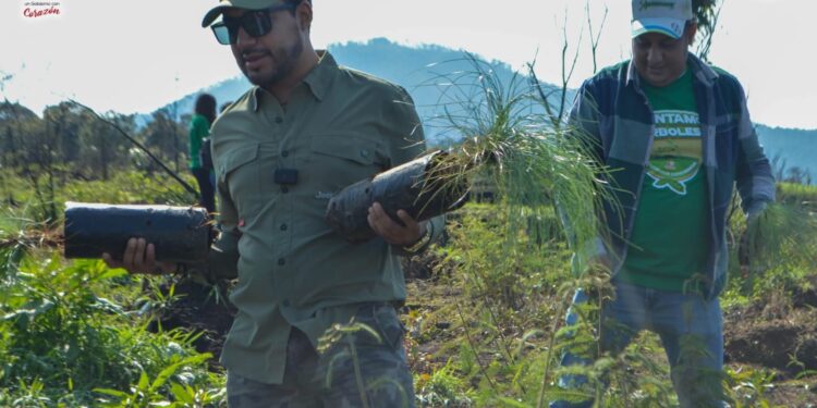 Se realizó reforestación en Uruscato con éxito: Humberto Jiménez Solís