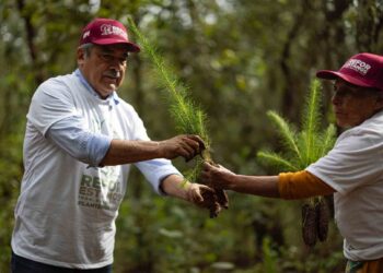 Convoca Raúl Morón a michoacanos a unirse y preservar el medio ambiente