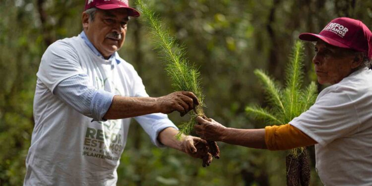 Convoca Raúl Morón a michoacanos a unirse y preservar el medio ambiente