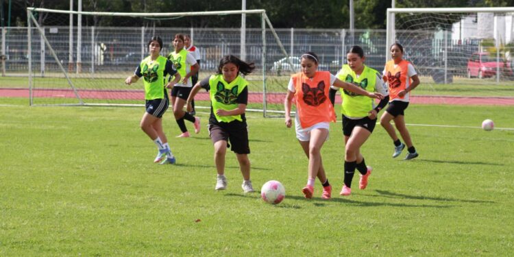 Cientos de aspirantes se registran en visoría del equipo femenil de TDP de la UMSNH 