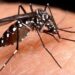 Recomienda IMSS Michoacán tomar medidas preventivas contra el dengue