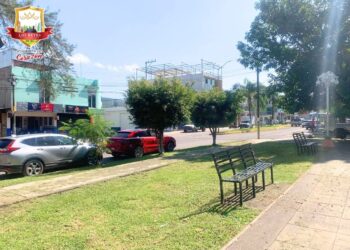 Con acciones constantes, Los Reyes muestra un nuevo rostro y mejora el bienestar de las familias