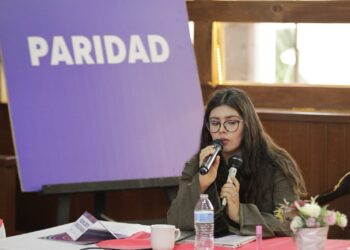 Los OPLE enfrentamos una gran carga al revisar registros en solo diez días”: Consejera Selene González