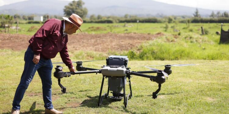 Reforestación con drones supera meta de 250 mil semillas sembradas: Bedolla