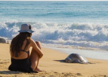 Última oportunidad para apoyar al estado en los Premios “Lo Mejor de Michoacán”: Sectur