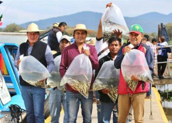 Estos productos de Michoacán recibirán protección con Indicación Geográfica