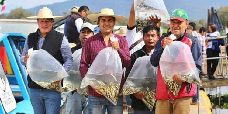 Estos productos de Michoacán recibirán protección con Indicación Geográfica