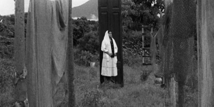 Cineasta michoacano plasma en cortometraje riqueza natural de la zona lacustre de Pátzcuaro