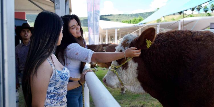 Arranca la Expo Ganadera 2025: Sader