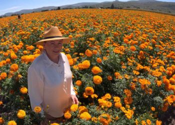 Copándaro alista operativos viales y derivados de flor para recibir turismo en Noche de Ánimas