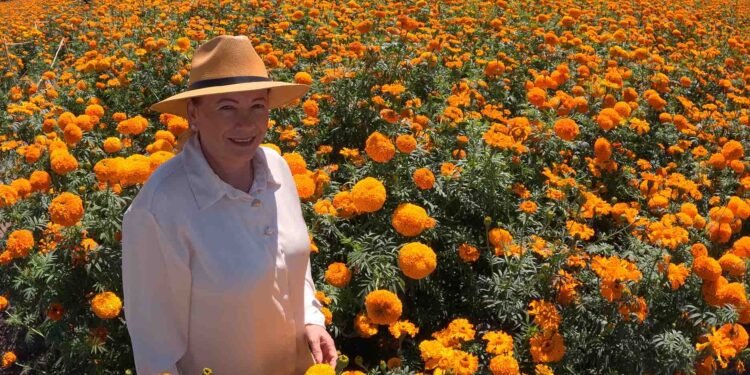 Copándaro alista operativos viales y derivados de flor para recibir turismo en Noche de Ánimas