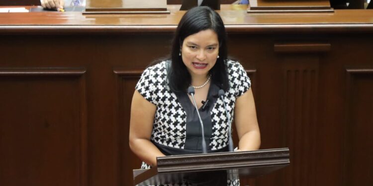 Diputado Toño Mendoza presenta iniciativa para fortalecer la atención regional en materia de derechos humanos