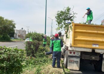 Brigadas de Servicios Públicos intervienen carretera a salida a Quiroga
