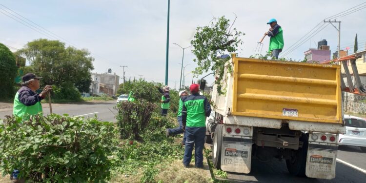 Brigadas de Servicios Públicos intervienen carretera a salida a Quiroga