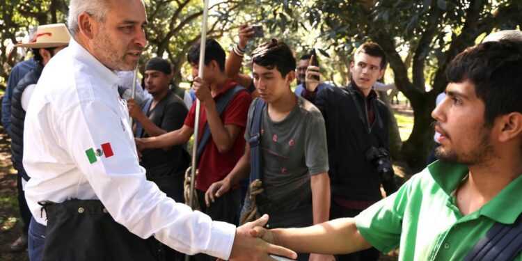 Busca Bedolla proteger y distinguir aguacate michoacano con Indicación Geográfica