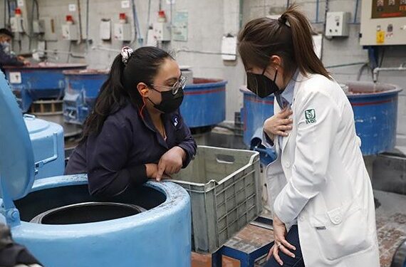 Promueve IMSS Michoacán la salud en los centros de trabajo mediante el programa ELSSA